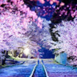 Meet your Posher, Renata